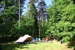 kamperen in het bos op een boscamping
